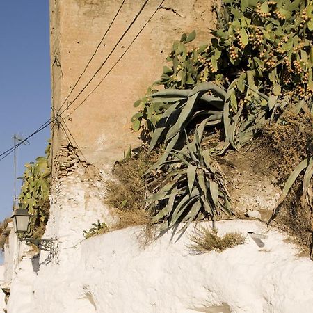 Apartamento Cueva De La Muralla Sacromonte Granada Exterior foto