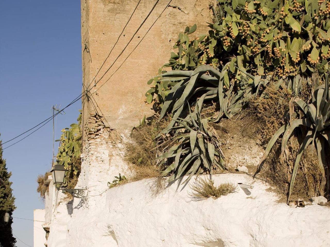 Apartamento Cueva De La Muralla Sacromonte Granada Exterior foto